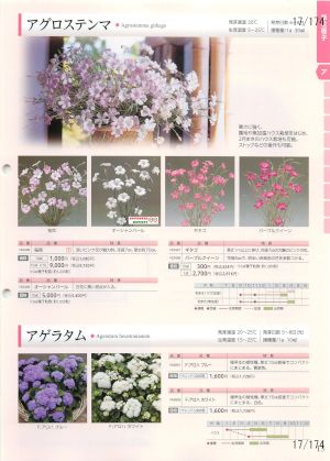 tki_017