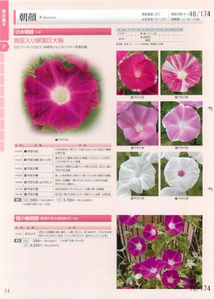 tki_018