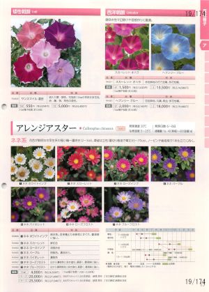 tki_019