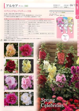 tki_023