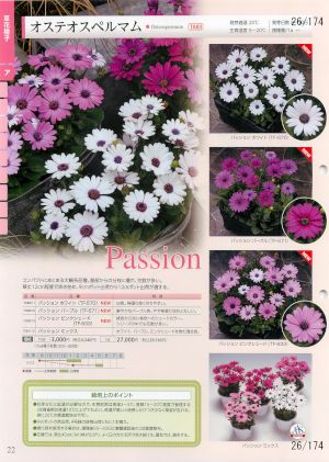 tki_026