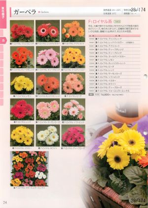 tki_028