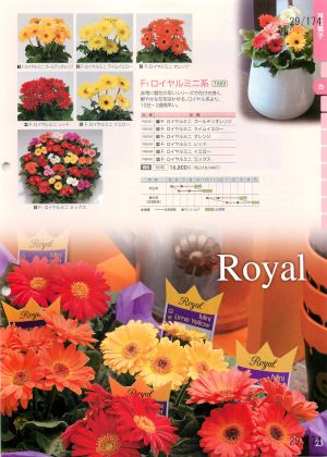 tki_029