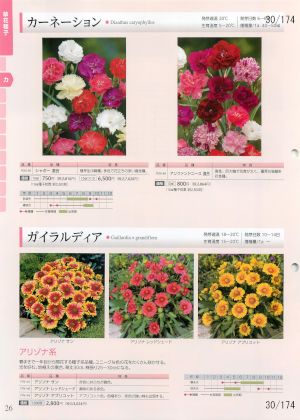 tki_030