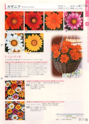 tki_031