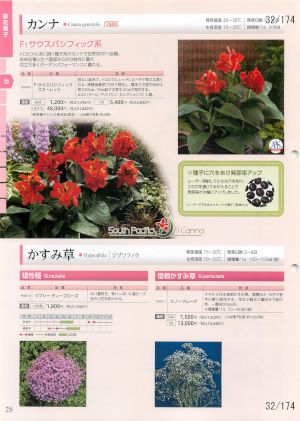 tki_032