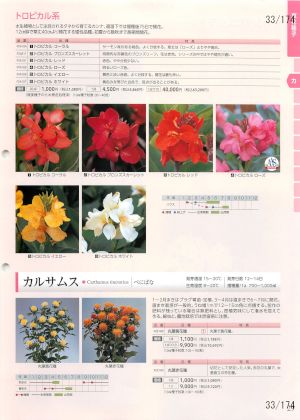 tki_033