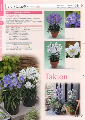 tki_034