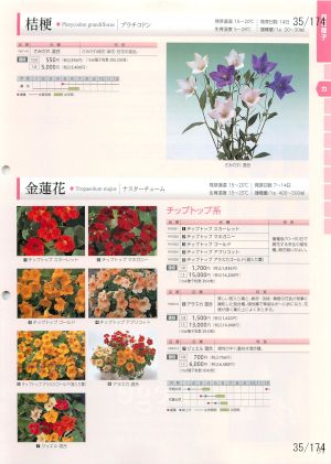 tki_035
