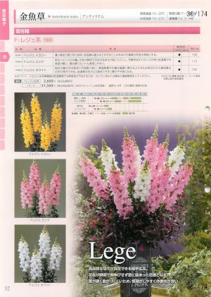 tki_036