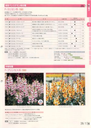tki_039
