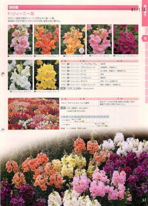 tki_041