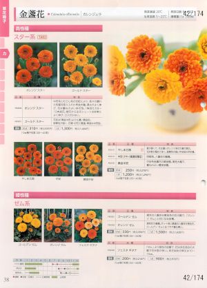 tki_042