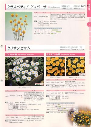 tki_043