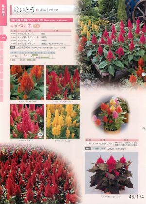 tki_046