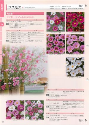 tki_048