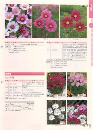tki_049