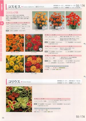 tki_050