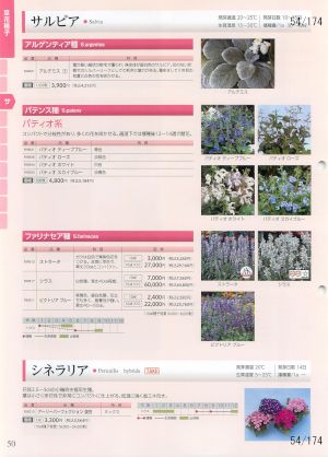 tki_054