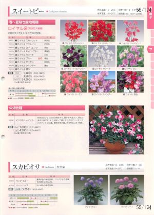 tki_055