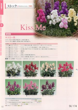 tki_056