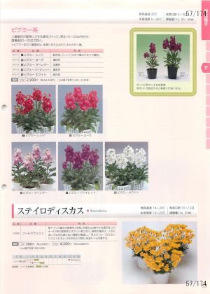 tki_057