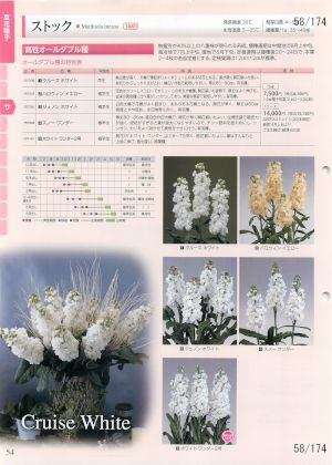 tki_058