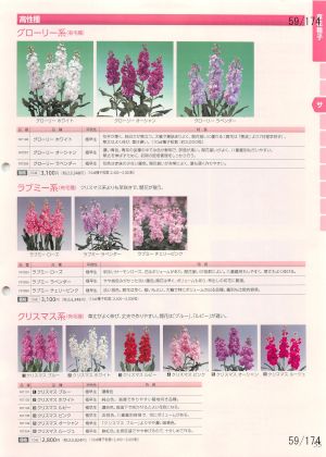 tki_059