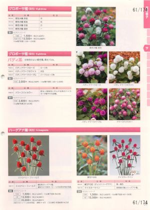 tki_061