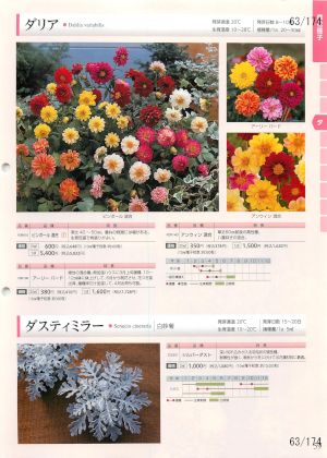 tki_063