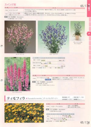 tki_065