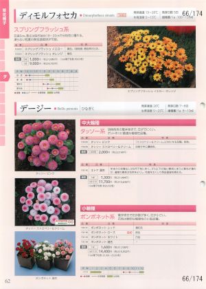 tki_066
