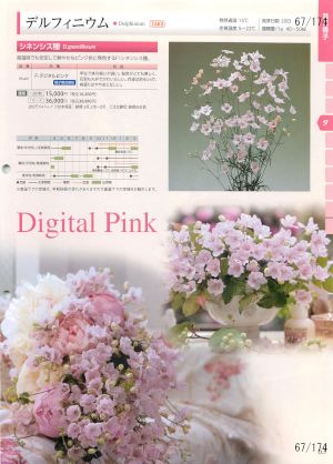 tki_067