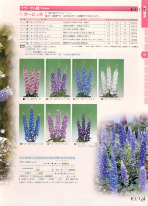 tki_069