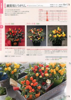 tki_070