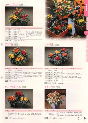 tki_071