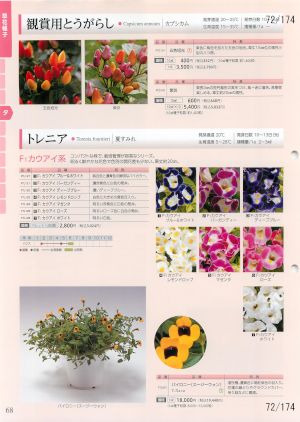 tki_072