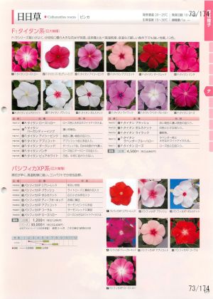 tki_073