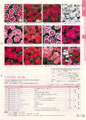 tki_075
