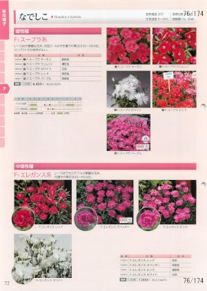tki_076