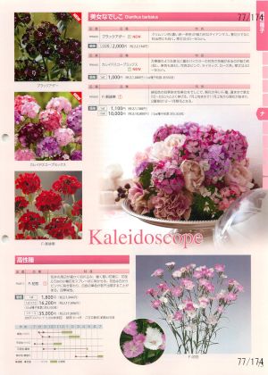 tki_077