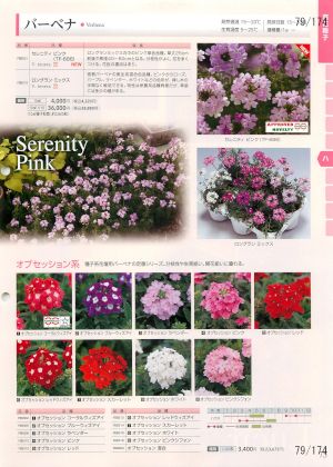 tki_079