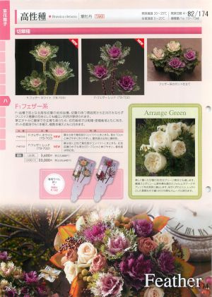 tki_082