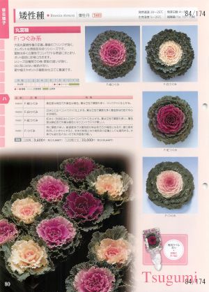 tki_084