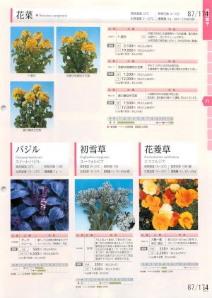 tki_087