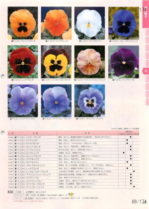 tki_089