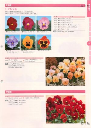 tki_093