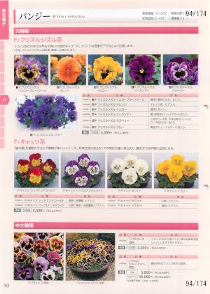 tki_094
