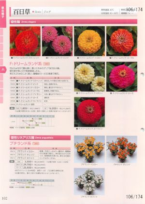 tki_106