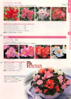 tki_113